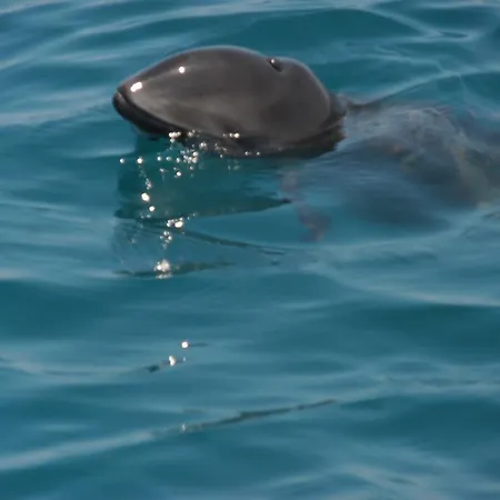 ゲストハウス Europa キテン